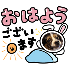 saya_20211111235348