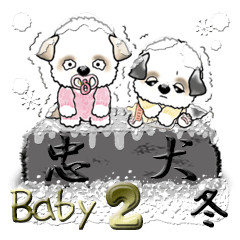 Babyシーズー犬 2『冬』