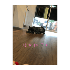yuto_20211112015207