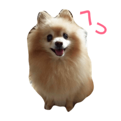 pomepomemilky