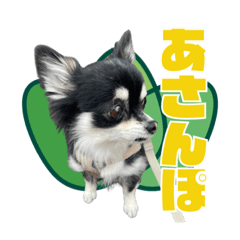 HIKARI_20211112145653