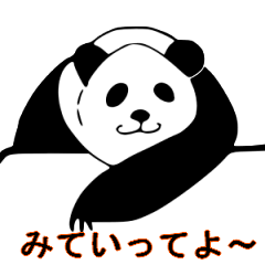 Panda daily stickers
