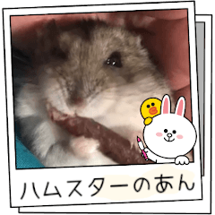 Hamster AN-chan