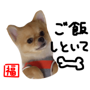 Fukuchan.