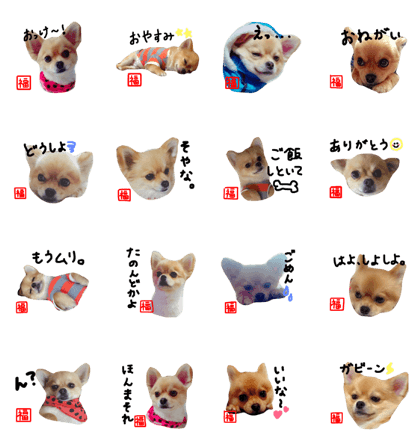 Fukuchan.