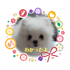 yuto_20211112171444
