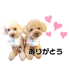 Miki_20211112205946
