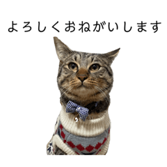 mizuki_20211112222418