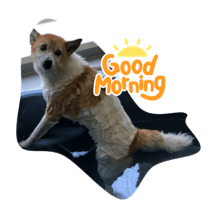 akiko_20211112214545