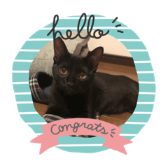 saori_20211112221512