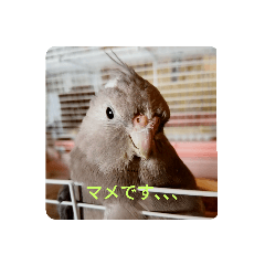 Yuto_20211112225659