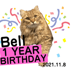 TOMOMI_20211113105744