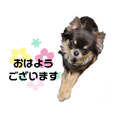 suzu_20211113000752
