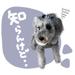 Cute dogs Sticker2021_3