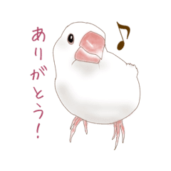 いやされ白文鳥 Line スタンプ Line Store いやされ白文鳥 Line スタンプ Line Store