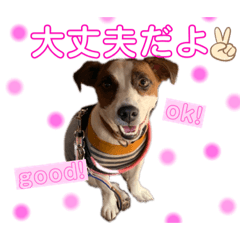 Nanami_20211113111130