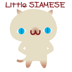 Siamese little kitten