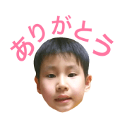 hidebon