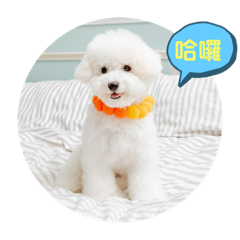 Fenice Chen_20211112221818 – LINE 스티커 | LINE STORE