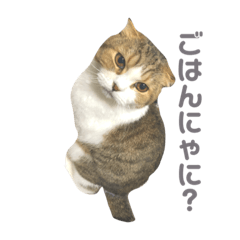 Hana_20211113134503