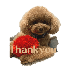 Chihiro_20211113134800