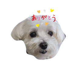 akiko_20211113123106