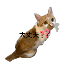saya_20211113122136