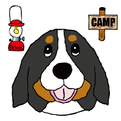 Sticker of Bernese Mountain Dog For Camp