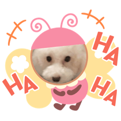 妞妞專屬貼圖（波妞）