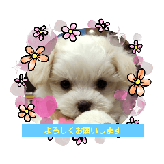 miki_20211114020457