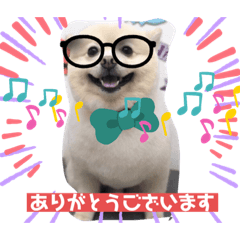 chie_20211114074550