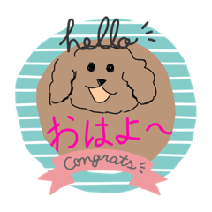 Ringo_20211113194856