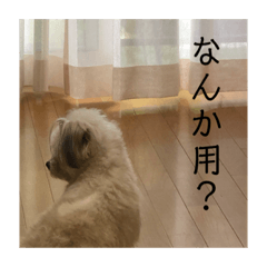 Kii_20211113210407