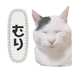 hanakou