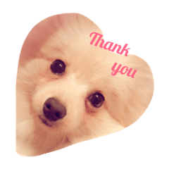 love dog....