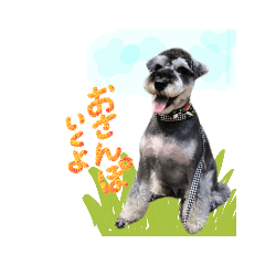 mush_20211113235228
