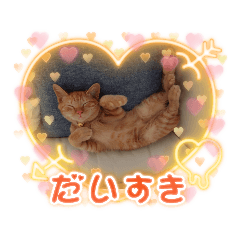 yuka_20211113214443