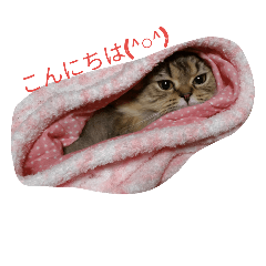 versionofyume