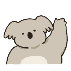 Koala bear daily