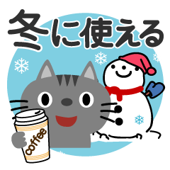 Winter of Cibi Cat