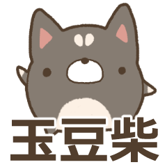 Mini-Shiba dog like a ball