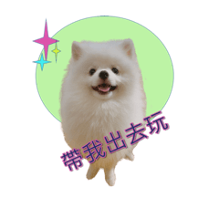 雪寶日常用語