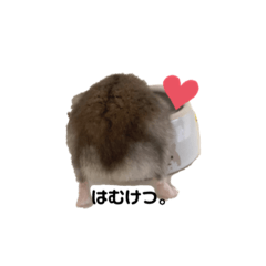 Very cute hamster stamp