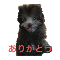 Chie_20211114135727