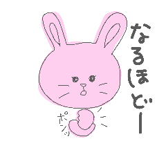 rabbit and cat japan