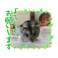 Sumi_20211114152157