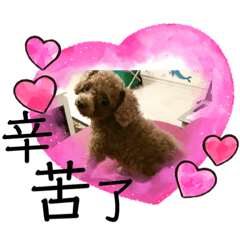 天堂的Candy小寶貝