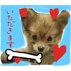 satsumakun