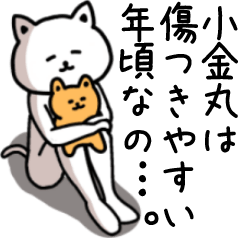 Sticker of KOGANEMARU(CAT)