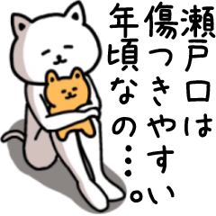 Sticker of SETOGUCHI(CAT)